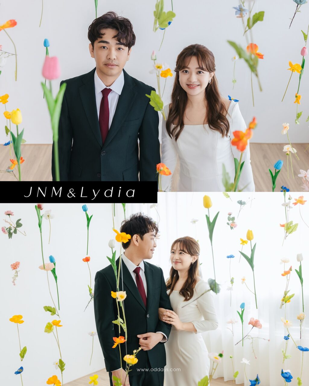 Instagram post from oddays.photo. This post is in position 1.