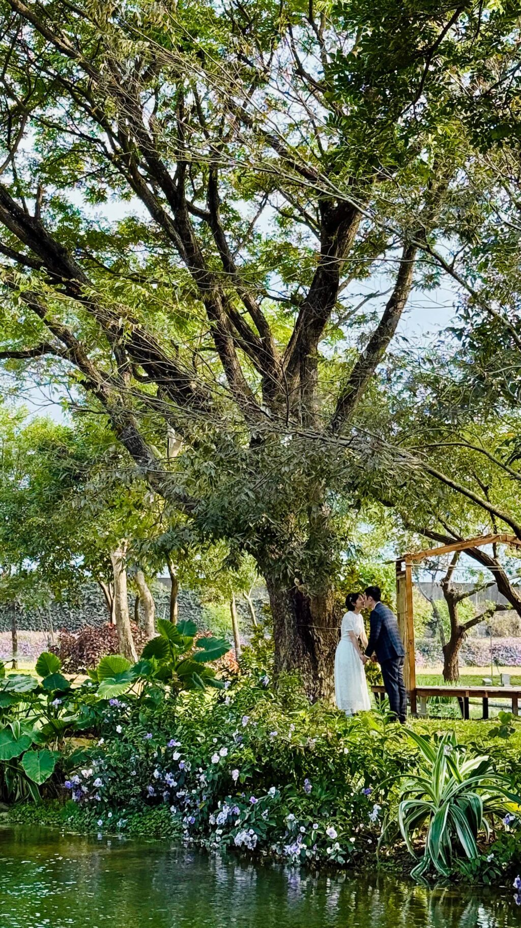 Instagram post from oddays.photo. This post is in position 1.