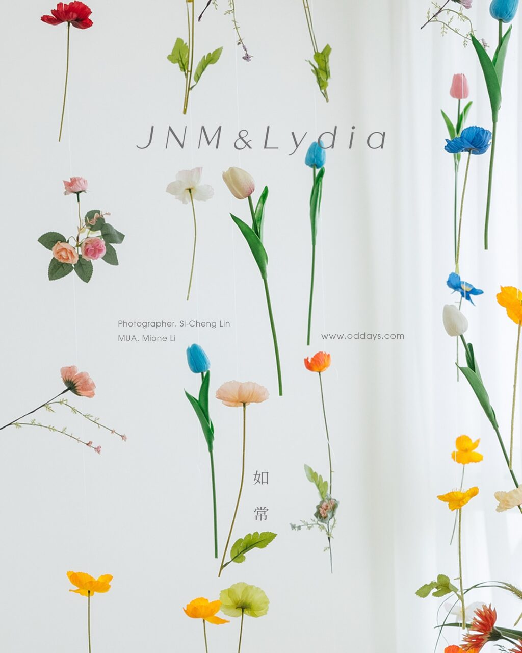 Instagram post from oddays.photo. This post is in position 0.