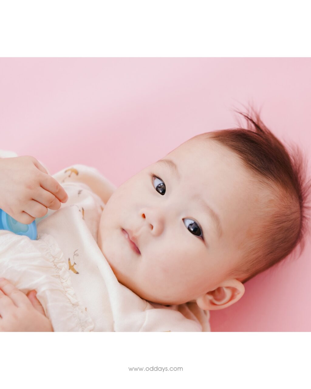 Instagram post from oddays.photo. This post is in position 4.