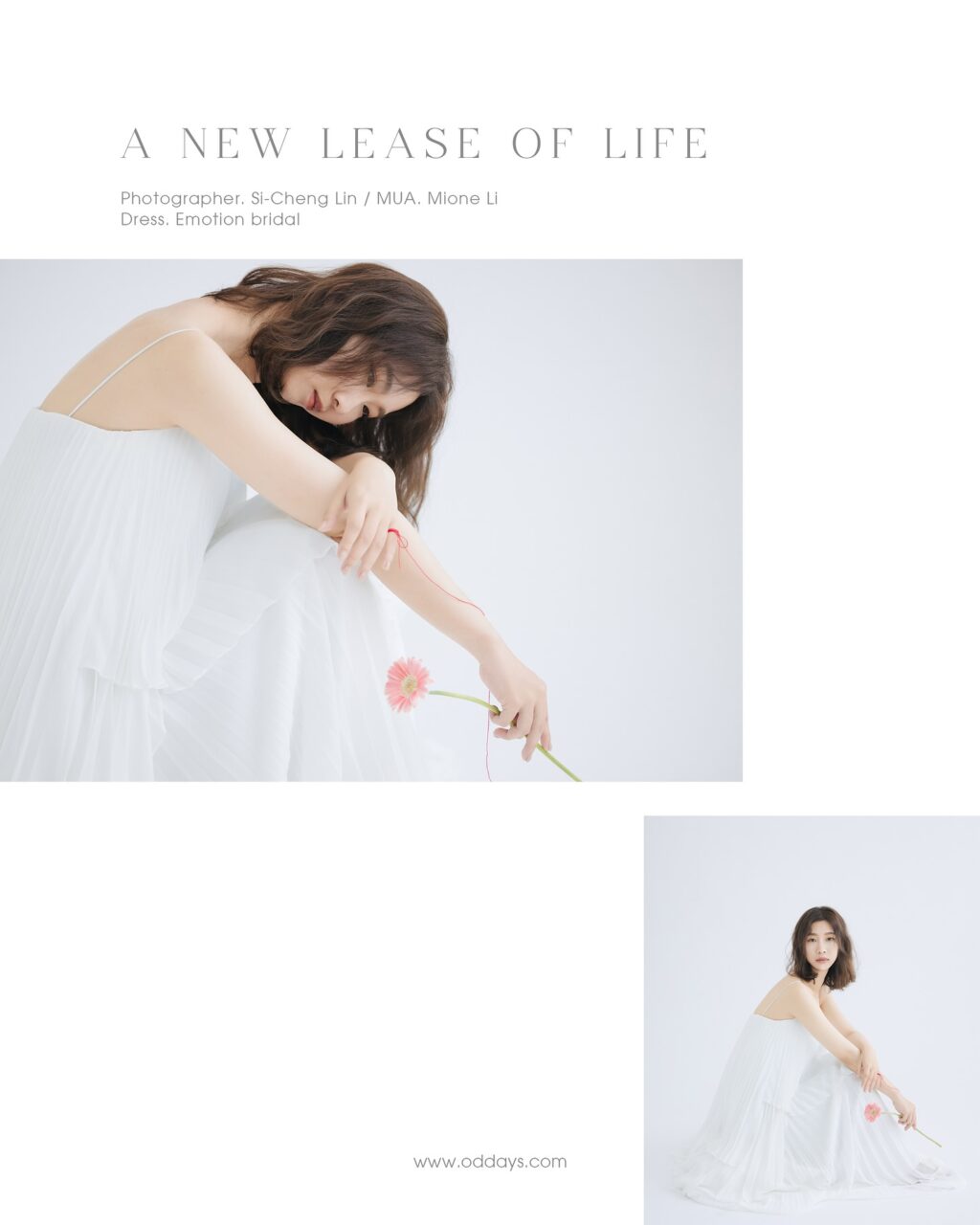 Instagram post from oddays.photo. This post is in position 2.