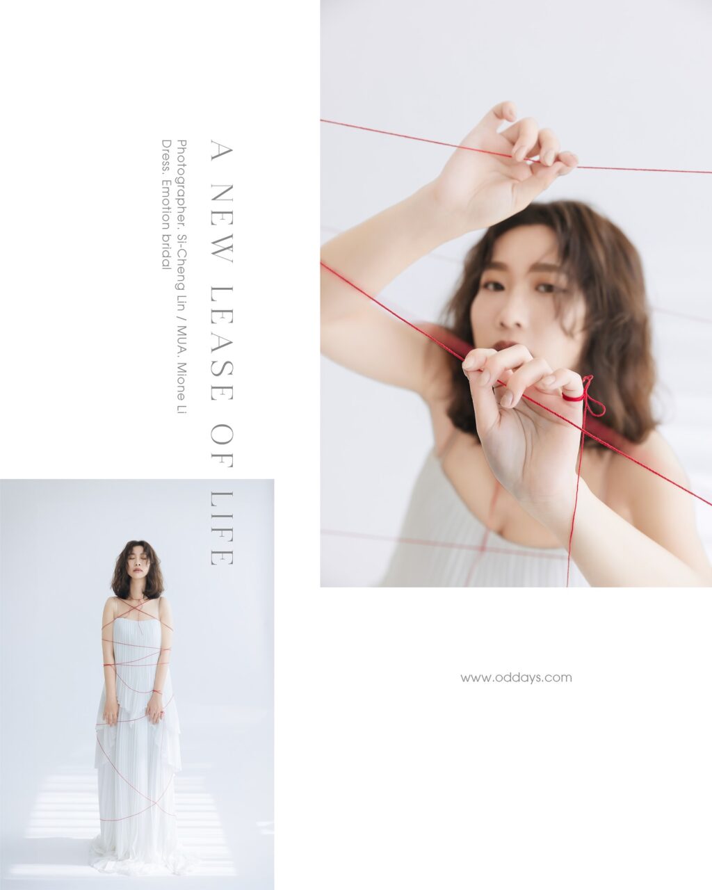 Instagram post from oddays.photo. This post is in position 5.