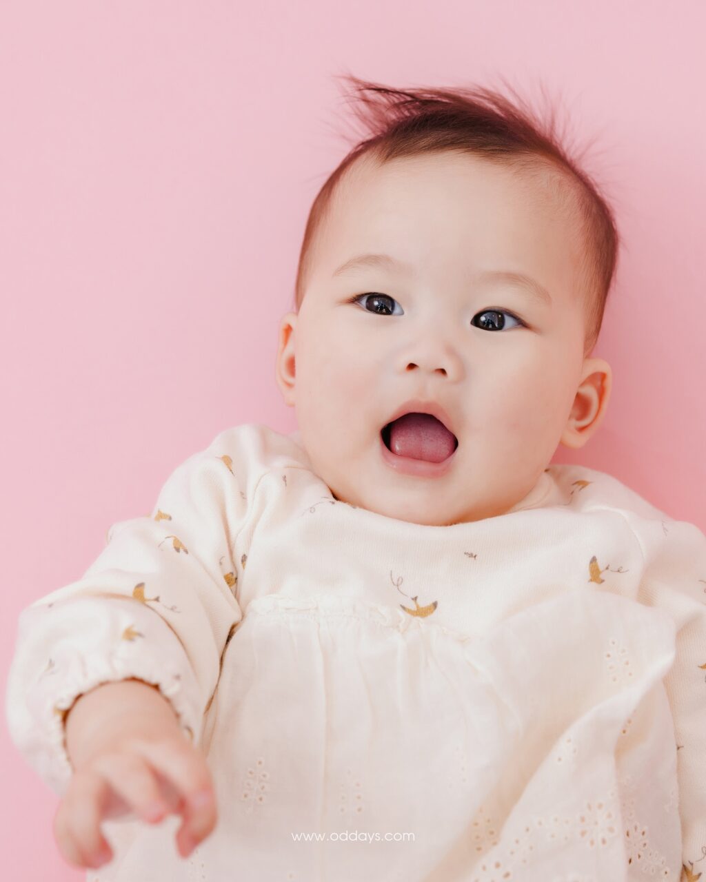 Instagram post from oddays.photo. This post is in position 0.