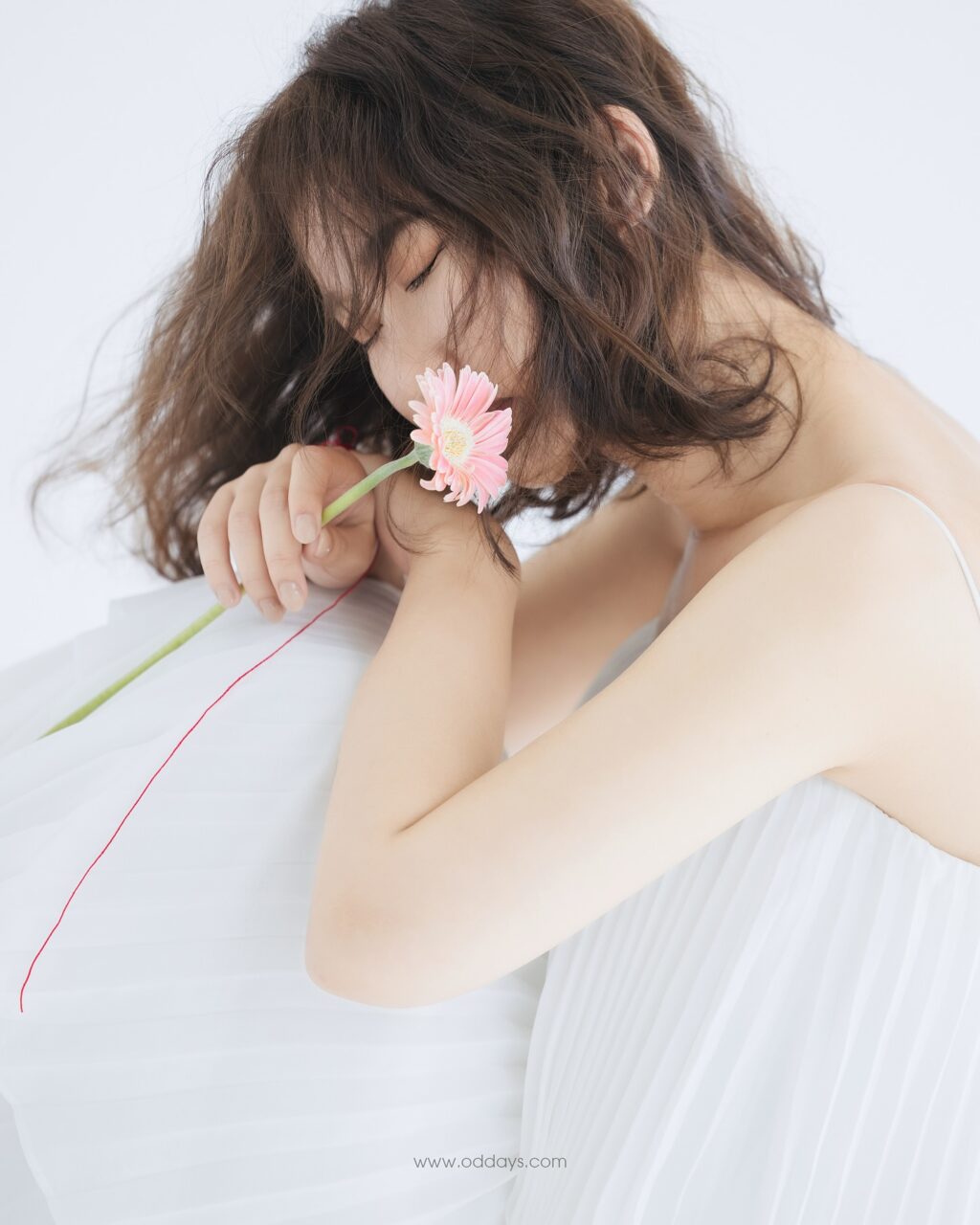 Instagram post from oddays.photo. This post is in position 7.